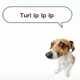 Tur ip ip ip ip ip 
