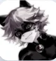 Cat Noir 