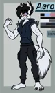 Aero
