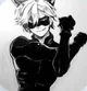 Cat Noir