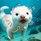 Gato-de mar