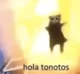 hola tonontos