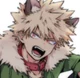 Bakugou - lobo