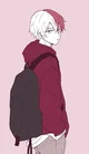 Shoto todoroki 