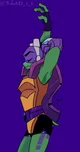 Donatello Hamato 