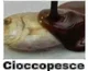 Cioccopesce