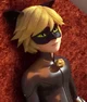Cat Noir