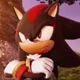 Shadow The Hedgehog