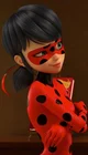 Ladybug
