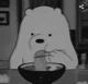 Ice Bear