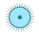 Glueocyte