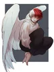 Shoto angel 