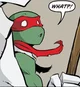 IDW Raphael 