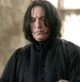 Snape Omega 