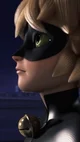 Cat Noir