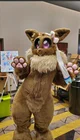 Furry eevee