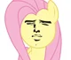 Fluttershy