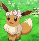 Flower Eevee 