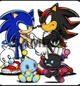 Sonic and shadow