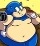 Fat Sonic