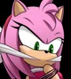 Amy rose Catching