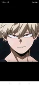 Bakugo katsuki 