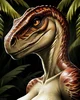 Female Raptor