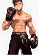 Boxer rei 