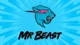 Mr beast