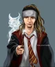 Tom_Harry Potter