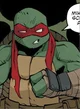 IDW Raphael 