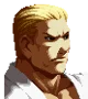 Geese Howard