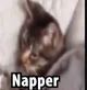 Napper