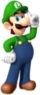 Luigi Coder