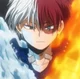 Shoto todoroki