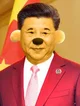 Xi Jinping
