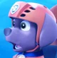 zuma - paw patrol
