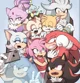 Sonic Crew