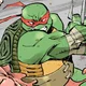 IDW Raphael 