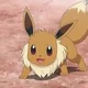 eevee from pokemon