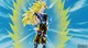 Son Goku -SSJ3-