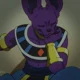 Beerus - MLM