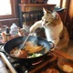 Chef Kitten