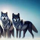 The pack 