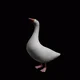 A friend