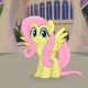 Fluttershy 