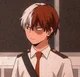 - Shoto Todoroki -
