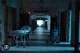 Abandoned Hospital