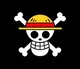 The Strawhat Pirates