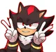 Shadow the hedgehog